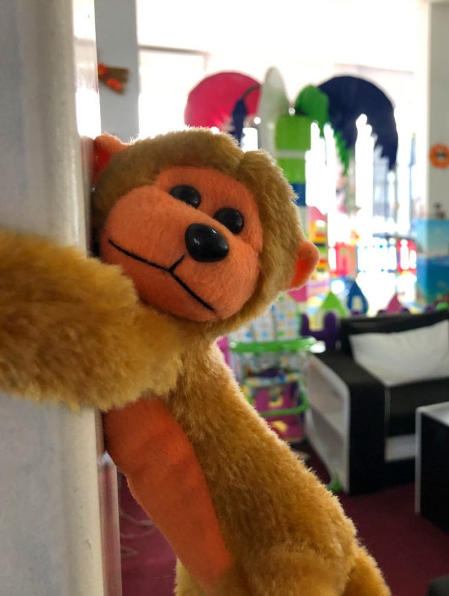 portofoliu-eloquence-ploiesti_11