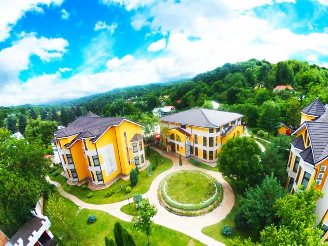 portofoliu-eloquence-ploiesti_3